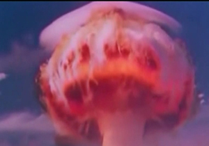 جهان عاری از سلاح هسته ای،از ادعا تا واقعیت + فیلم