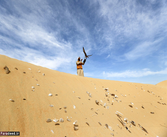 تفریح لوکس و خشن در صحرای امارات!+تصاویر