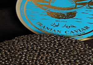 خاویار ایران گرانترین خاویار جهان/ صادرات آبزیان به 40 کشور