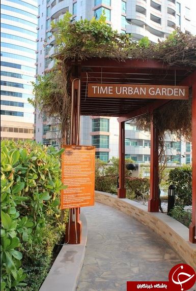 اولین باغ پشت بامی در دبی+تصاویر