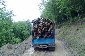 درگیری قاچاقچیان چوب با ماموران در چالوس