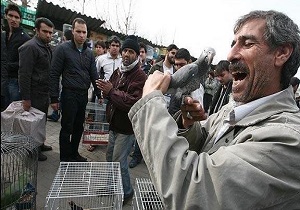 فروش حیات وحش در بازار پرنده‌فروشان تهران کذب است!