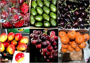 لیست میوه‌های قاچاق و کشورهای تولیدکننده + قیمت
