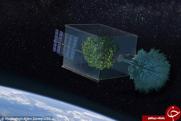 اولین فضاپیمای جهان ساخته شده از گیاهان + تصاویر