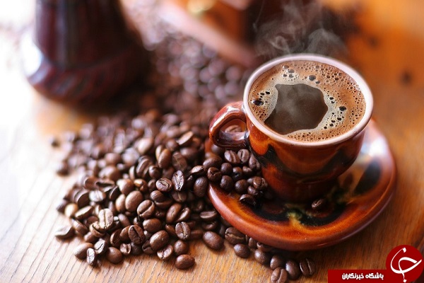 گران ترین قهوه جهان از مدفوع این حیوان بدست می آید! + تصویر