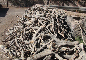 کشف حدود 650کیلوگرم زغال و چوب تاغ در زواره اردستان