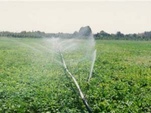 توسعه طرح آبیاری نوین در زمین های کشاورزی هرمزگان