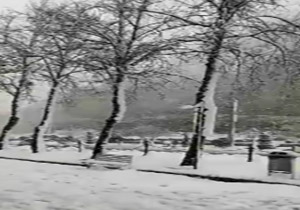 منظره ای زیبا از بارش برف + فیلم