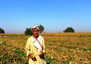 امتیاز آب کشاورزی برای کشاورزان خوزستانی