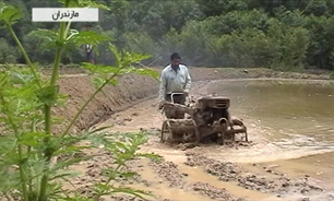 حق آب کشاورزان مازندرانی نگرانی آنهاست + فیلم