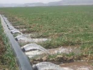 استفاده از سيستم آبيار غرقابي سبب گسترش بحران خشکسالي مي‌شود