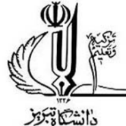 موفقیت تیم دانشکده علوم ریاضی دانشگاه تبریز درمسابقات ریاضی دانشجویان کشور