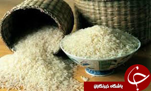 یارانه تولید برنج برای خرید تضمینی پر محصول اختصاص شده است