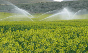 نقش کلیدی بخش کشاورزی در صرفه جویی آب