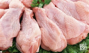 روند صعودی افزایش قیمت مرغ