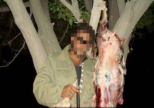 شکارچی جنایتکار دستگیر شد + عکس