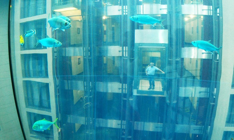 دیدن بزرگ ترین آکواریوم جهان با آسانسور + عکس