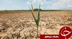 خطر بی آبی، همچنان مهدد زمین های کشاورزی خوزستان