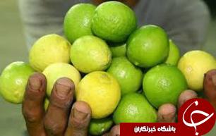 لیمو ترش دزفول در بازار