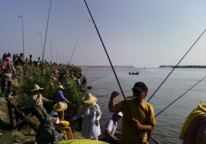 جشنواره ماهیگیری در انزلی برگزار شد