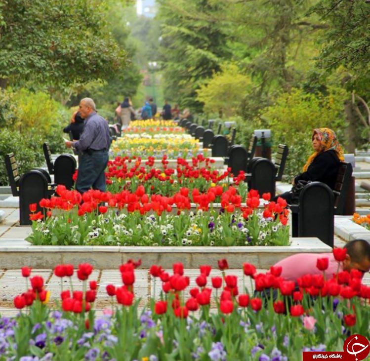 تصاویر زیبا از جنوب تا شمال تهران