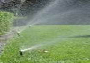 مدیریت آبیاری فضای سبز در بندرعباس،استفاده از آب شبکه شهری ممنوع