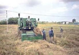 پلاک گذاری50 دستگاه ماشین آلات کشاورزی در قائم شهر
