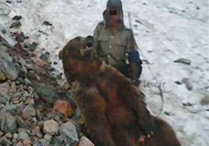 زخمی شدن باغبان در نبرد با خرس