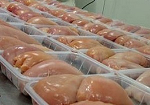 صادرات مرغ به افغانستان از سر گرفته شد/ کاهش 8 درصدی قیمت مرغ
