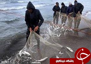 صید بیش از 9 تن ماهی استخوانی در دریای خزر