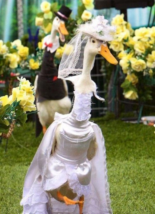 مدلینگ لباس اردکی!