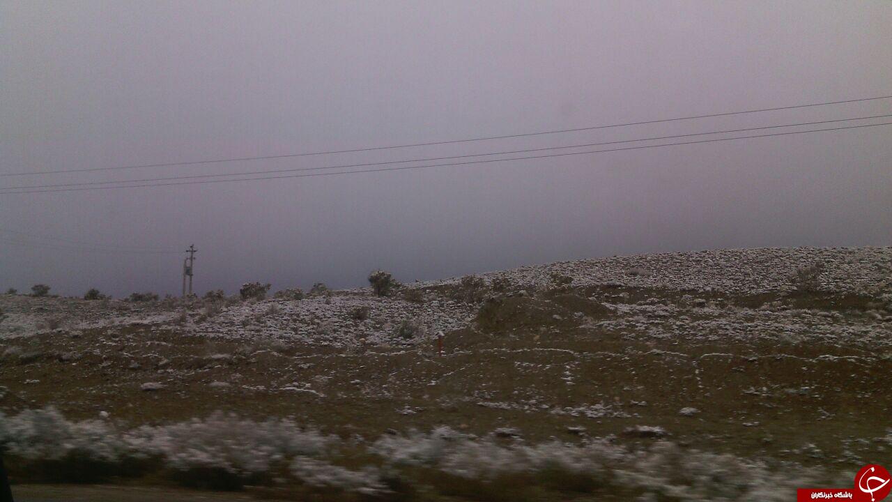 برف پاییزی ایران را سفید کرد