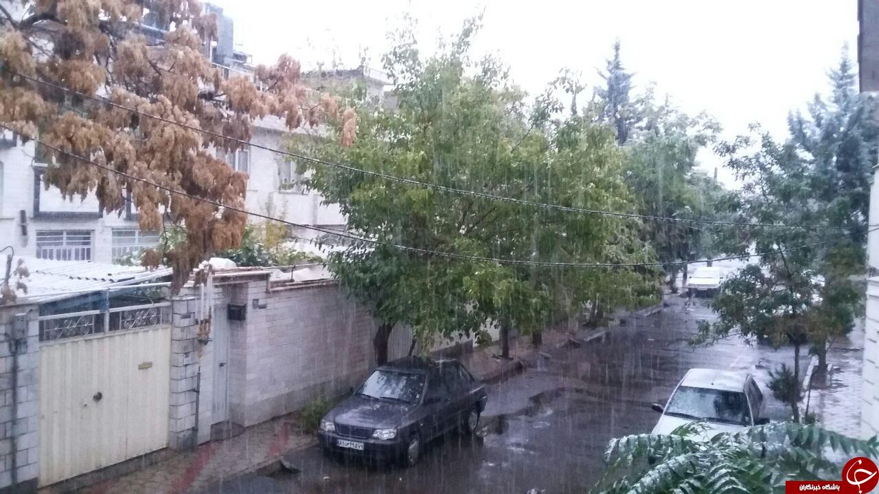 برف پاییزی ایران را سفید کرد