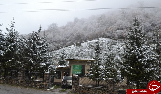 برف پاییزی ایران را سفید کرد + تصاویر