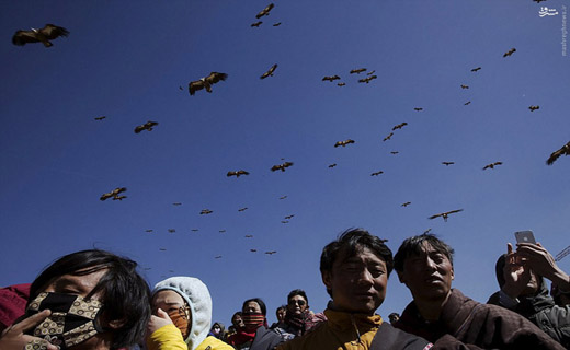 هدیه عجیب تبتی ها به کرکس‌ها +عکس