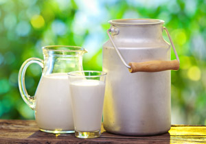 خرید شیر خام به نرخ مصوب تنها مسکنی برای دامداران است