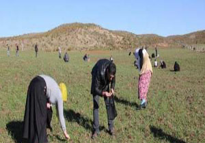تکه های شهاب سنگ یک روستا در ترکیه را ثروتمند کرد!