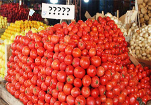 افزایش قیمت گوجه فرنگی در بازار مشهد