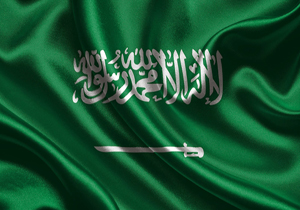 کربی: عربستان حقوق جهانی بشر را محترم بشمارد