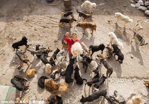 میلیونری که به خاطر کمک به حیوانات فقیر شد + تصاویر