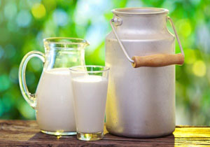 توقف خرید حمایتی شیرخام از دامداران