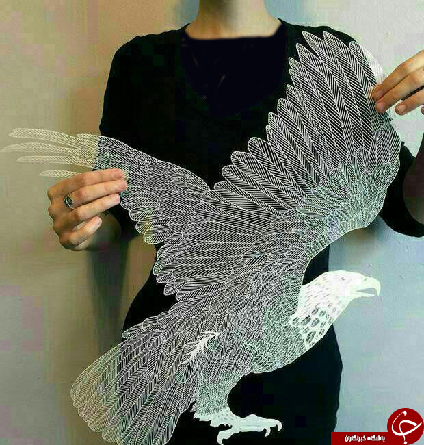 تصاویر باورنکردنی از بریده‌های باریک کاغذ