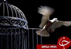 آزادی ۲۳۰ زندانی جرائم غیر عمد در لرستان
