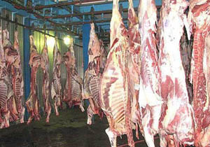 تزریق گوشت قرمز تازه گوسفندی به بازار/ توقف صادرات قیمت تخم مرغ را افزایش داد