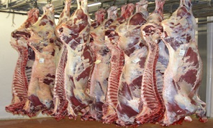 وعده عرضه گوشت گرم برای تعدیل قیمت به کجا رسید؟