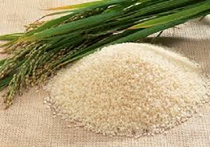 عوامل افزایش قیمت برنج باسماتی