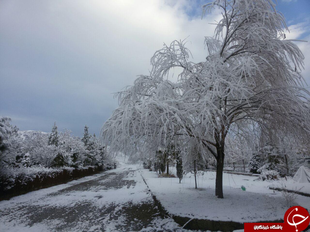 نمایی از طبیعت زمستانی گلپایگان + تصاویر