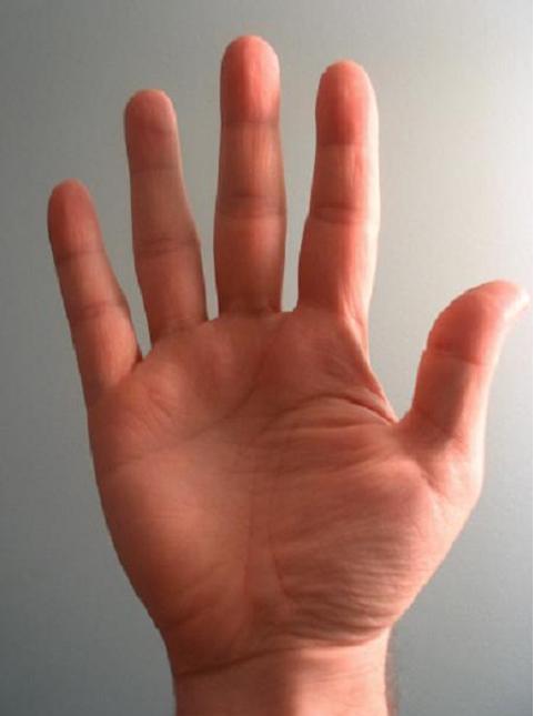چرا طول انگشتان افراد از دوران جنین با هم متفاوت است؟