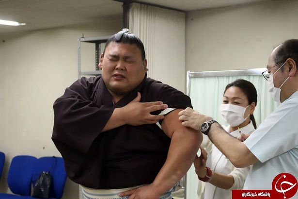 عکس العمل جالب کشتی گیران سامورایی در هنگام واکسن زدن+ تصاویر