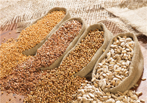افزایش 2 برابری تولید انواع دانه های روغنی در استان اردبیل